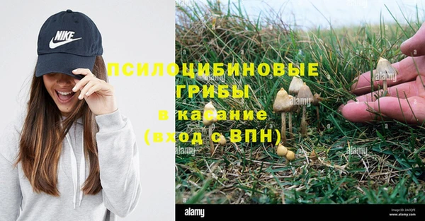 прущий лед Богородицк