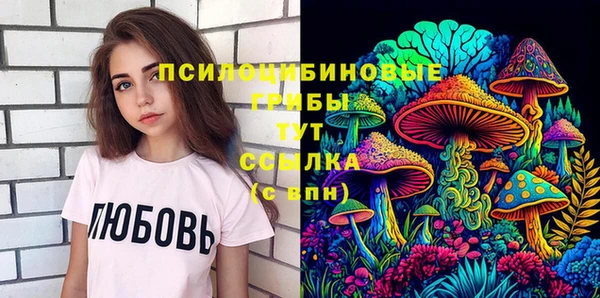 прущий лед Богородицк