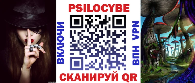 купить закладку Будённовск Псилоцибиновые грибы мицелий